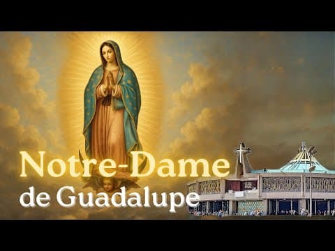 Vidéo consacrée à Notre-Dame de Guadalupe